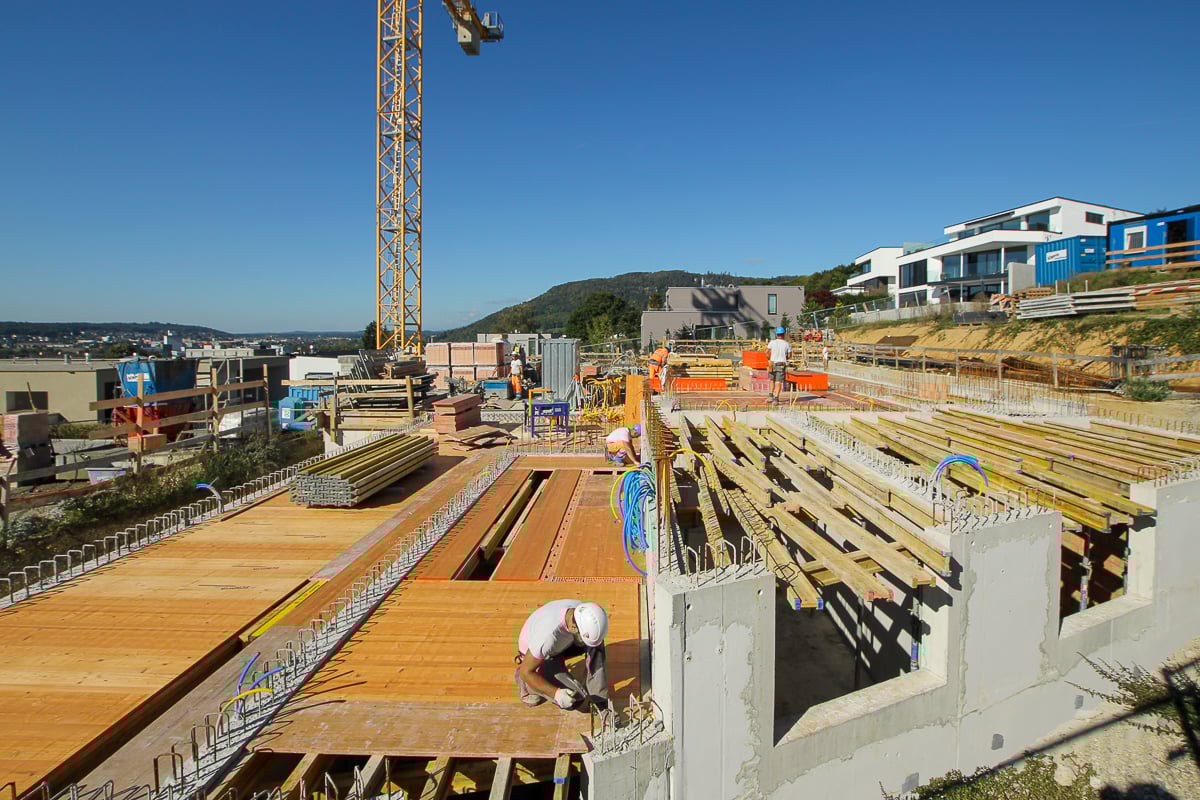 Schmid Projekt Oftringen Schwarzhaar  (7)