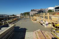Schmid Projekt Oftringen Schwarzhaar  (9)