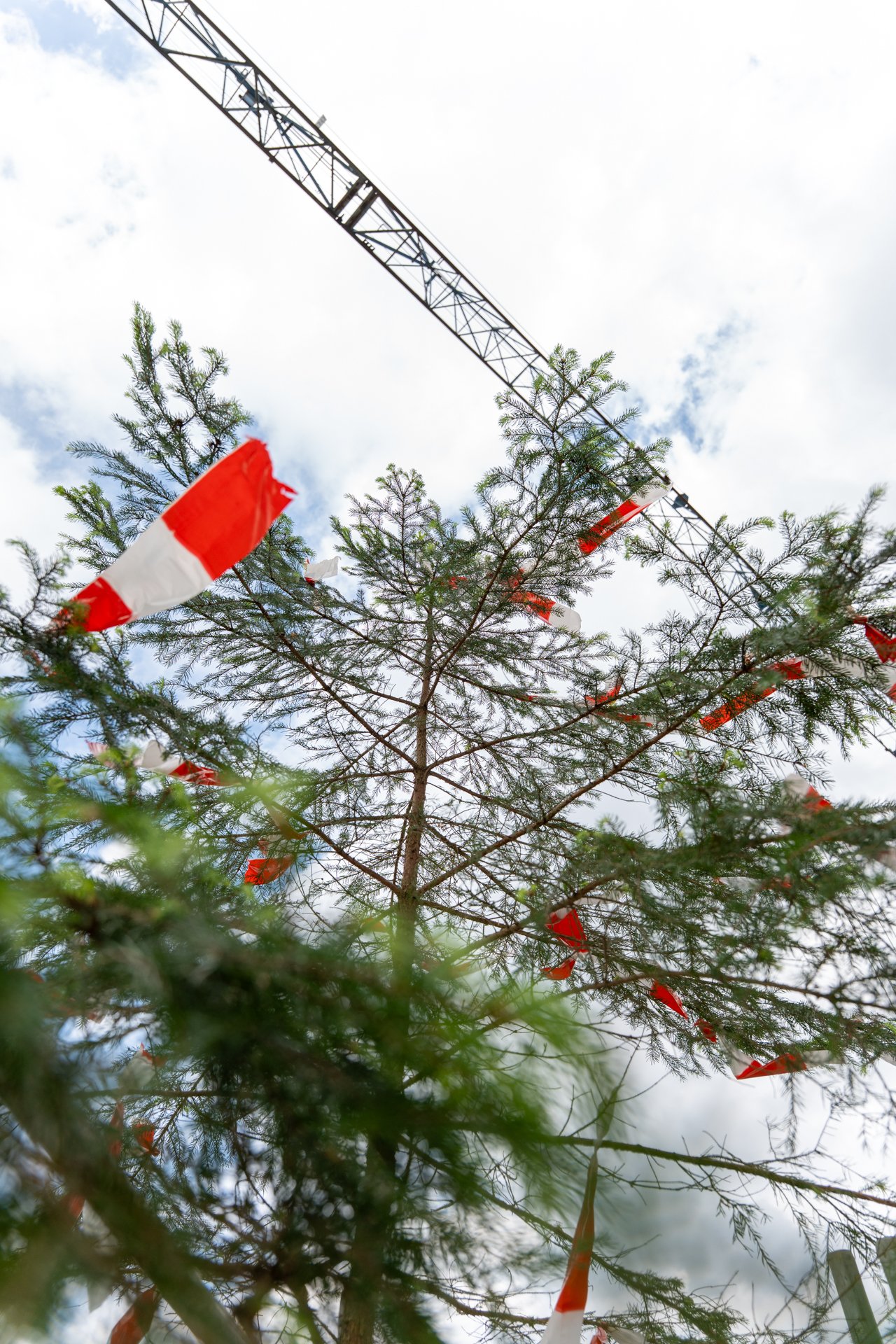 Der Baum der Aufrichtung eines Einfamilienhauses erbaut von unseren Lernenden