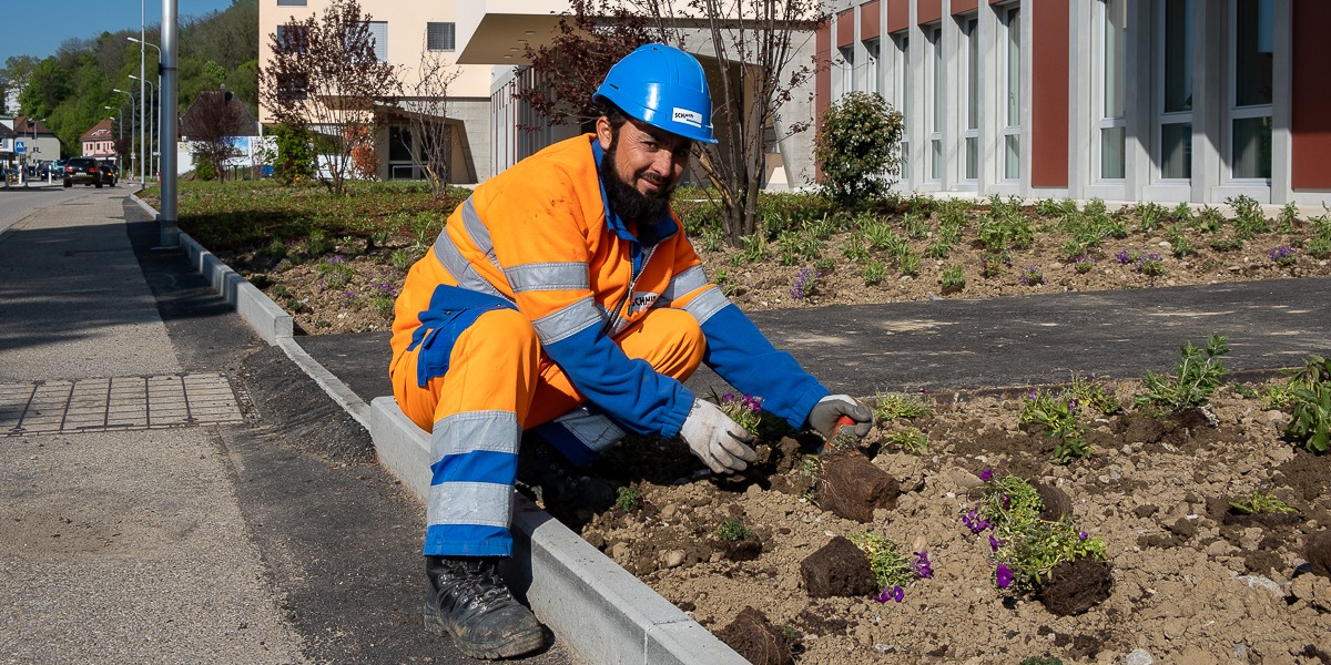 Schmid-Mitarbeiter-Gartenbau-Bepflanzung (1)