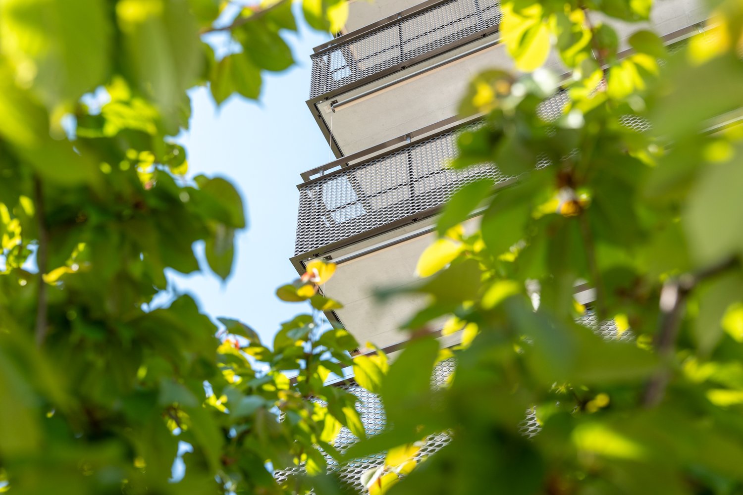 Blick durch eine Hecke auf Balkone
