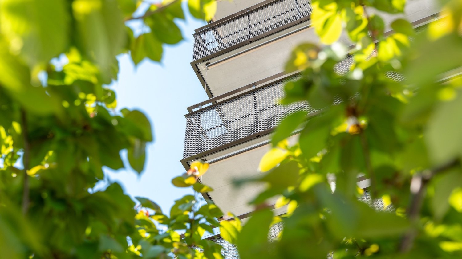 Blick durch eine Hecke auf Balkone
