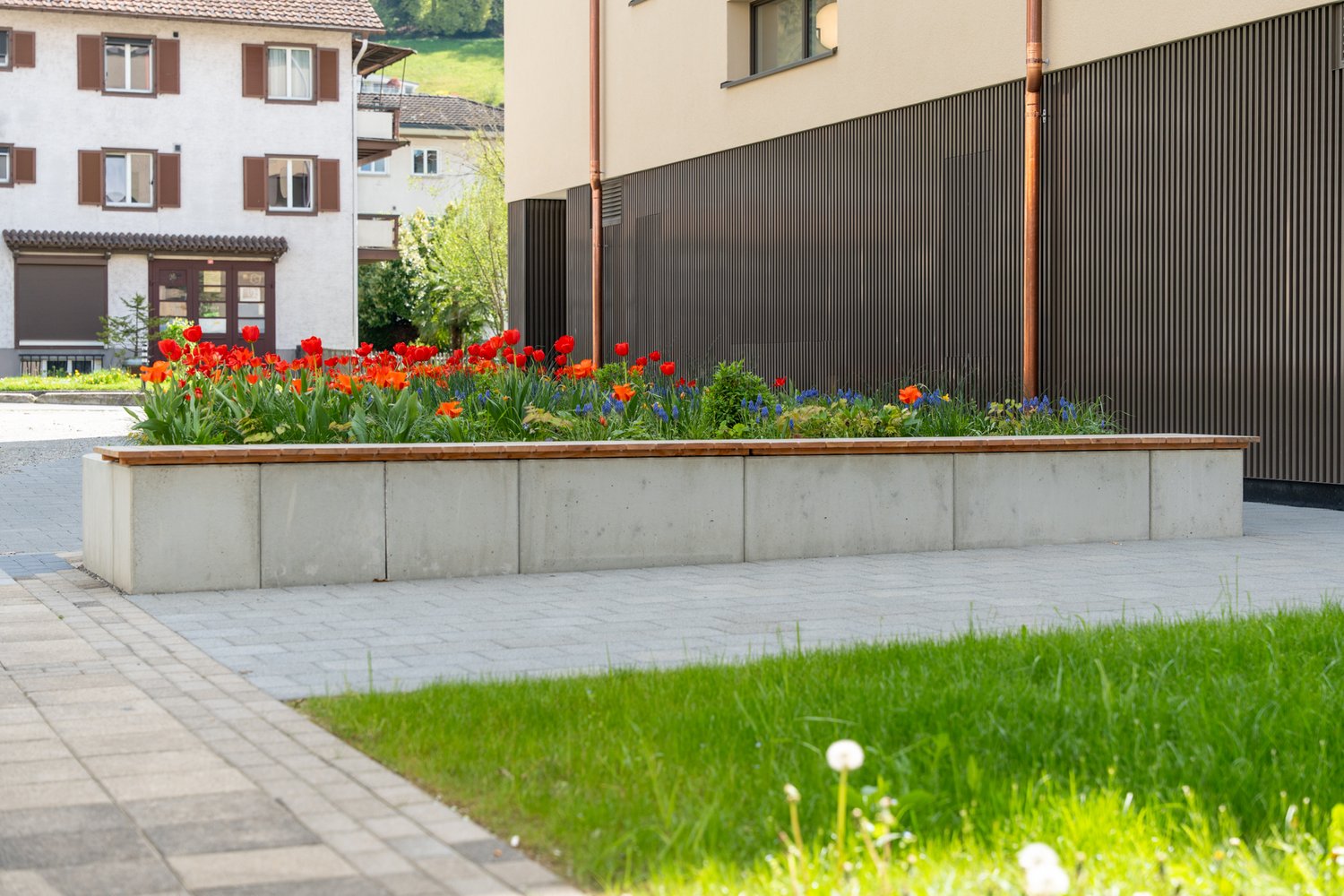 Sitzgelegenheit mit Tulpen im Gartenweg in Ebikon