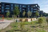 Wohnüberbauung Grünmatt in Emmen