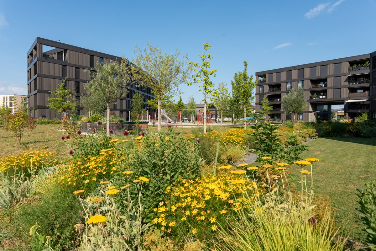 Erste Etappe Grünmatt in Emmen - Begegnungsplatz