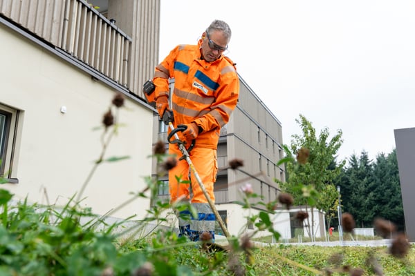 Gartenbaumitarbeiter rächt den Rasen