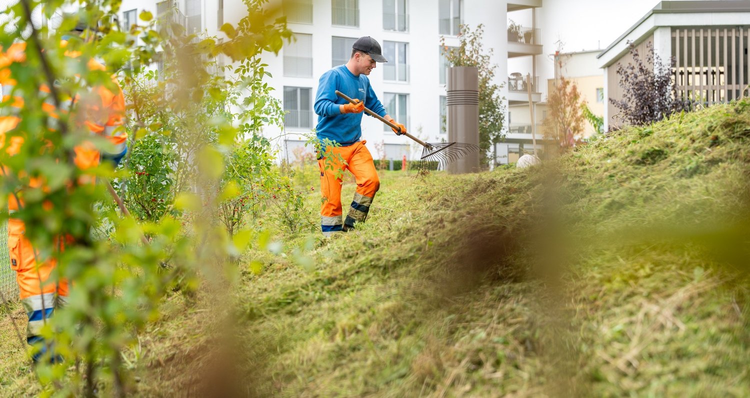 Gartenbaumitarbeiter rächt den Rasen zusammen