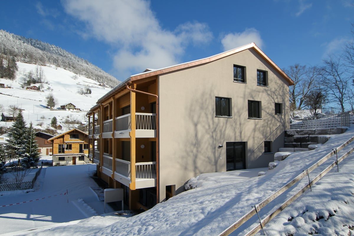 Neubau MFH Schmidig, Seelisberg