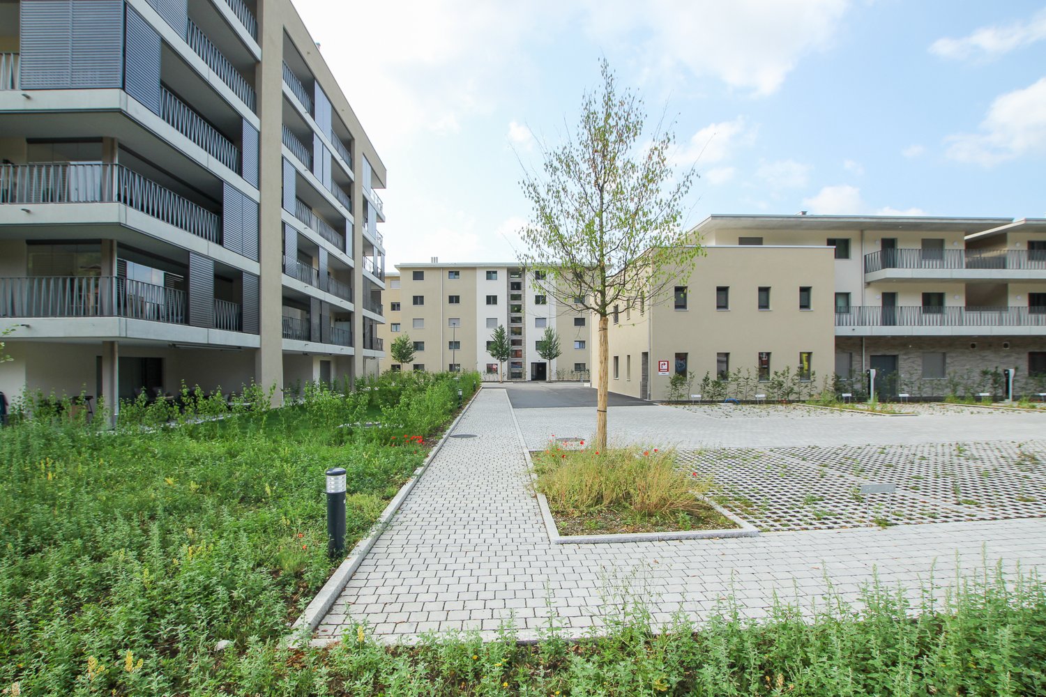 Blick auf die Überbauung Papiri in Zwingen