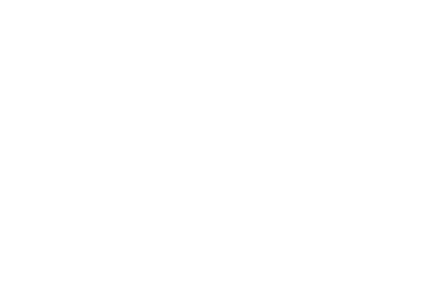 Symbol Erde Welt Sozialcharta