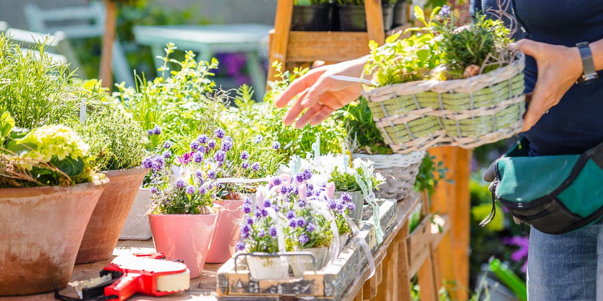 Stockbild | Gartenbau | Beratung | Pflanzen | 1200x600