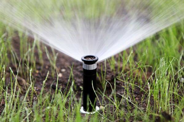 Platzhalter Bewässerungssystem Garten