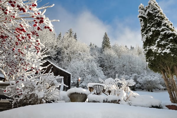 Stockbild | Gartenbau | Winter | 1200x800