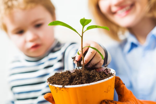 Kinder und Mutter halten eine eingetopfte Pflanze