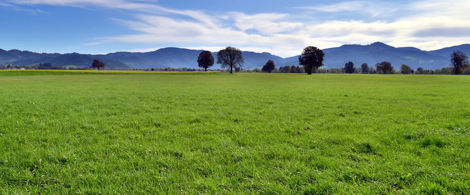 Stockbild-Grundstueck-Banner